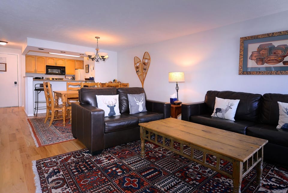 Living room w/full pullout couch