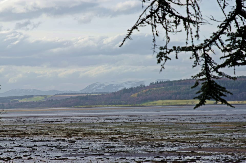 Land view from property