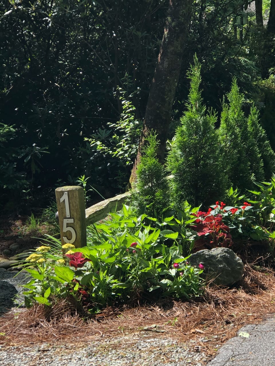 Entry Driveway - Spring/Summer Blooms