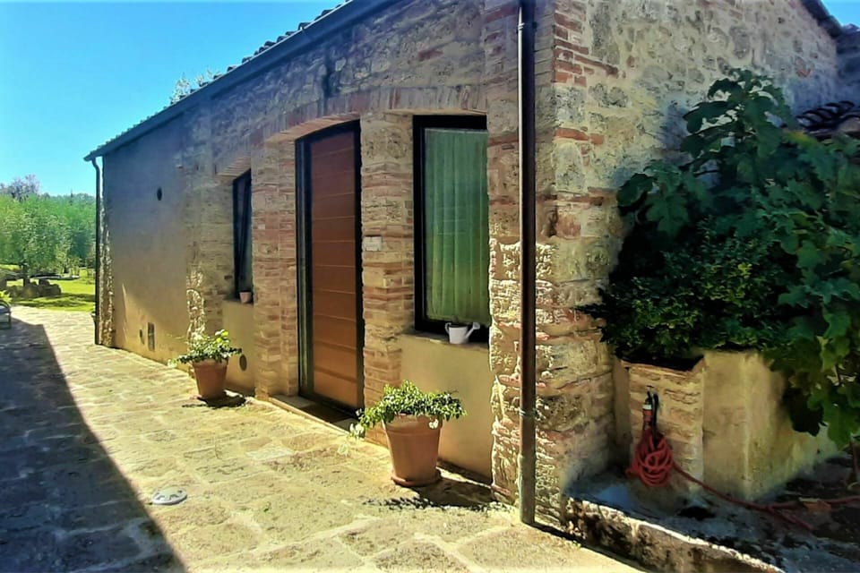 Plant, Building, Green, Sky, Flowerpot, Door, Window, Land Lot, Houseplant, Wall