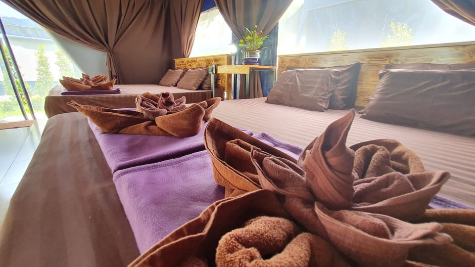 Quadruple Tented Room | Desk, WiFi (free), bed sheets