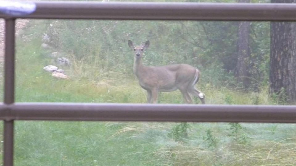 View from property