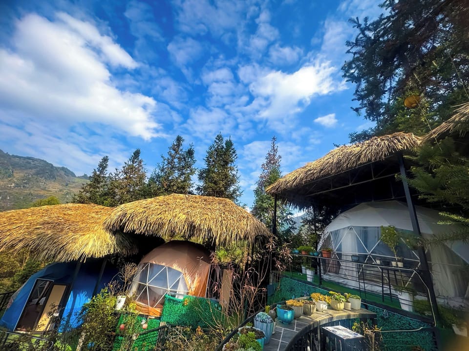 Panoramic Tent | Terrace/patio