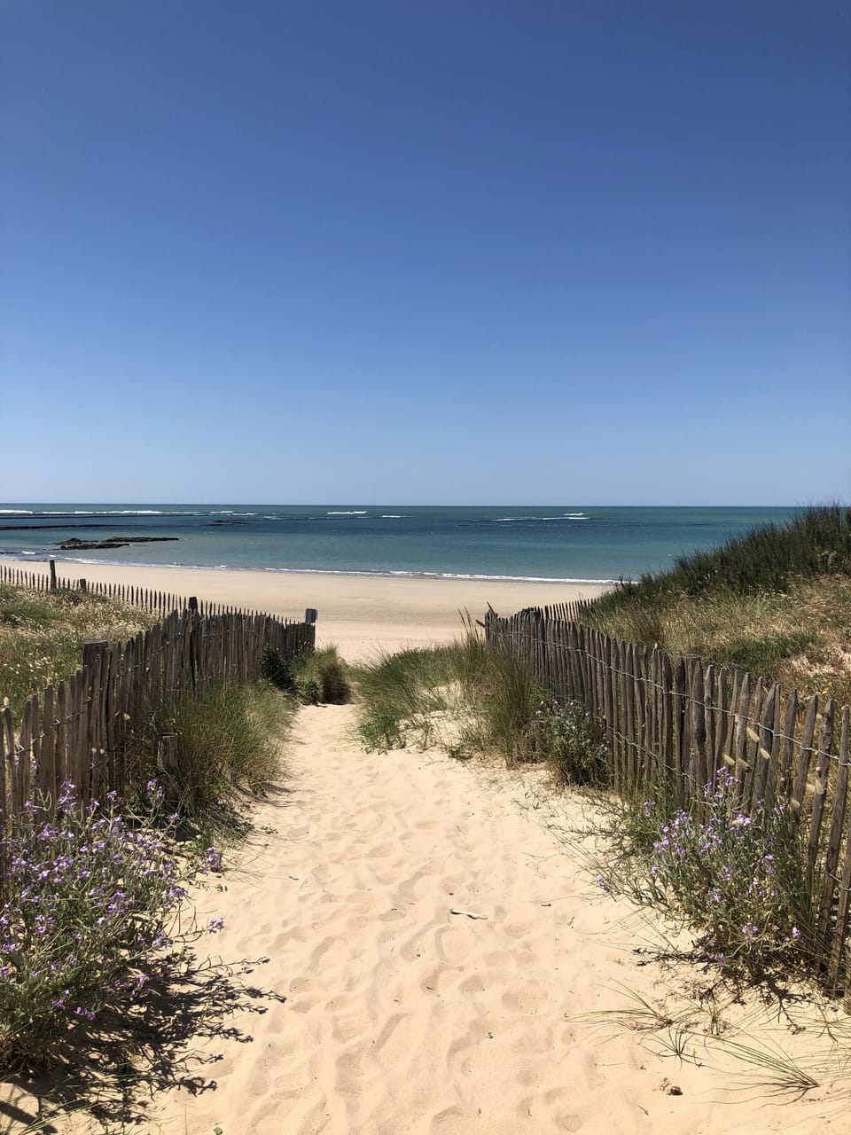 Beach