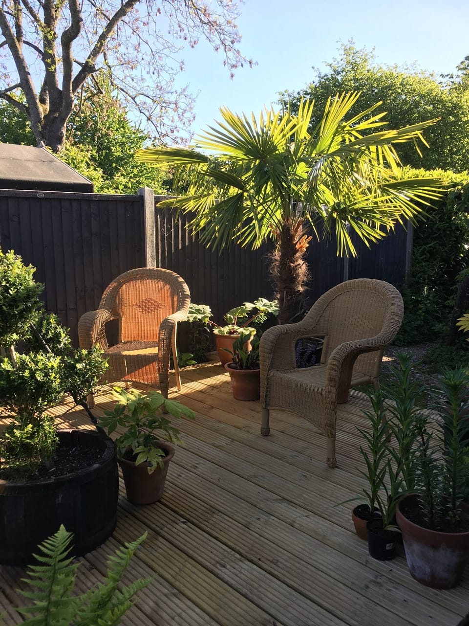 Very private sunny garden