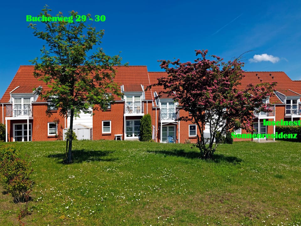Main view