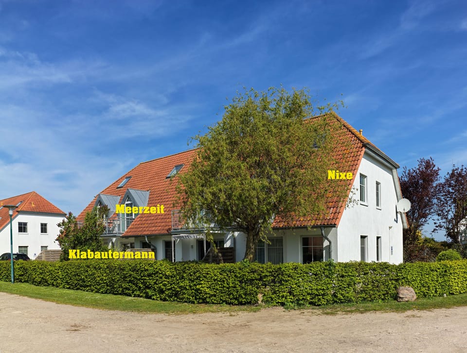 Main view