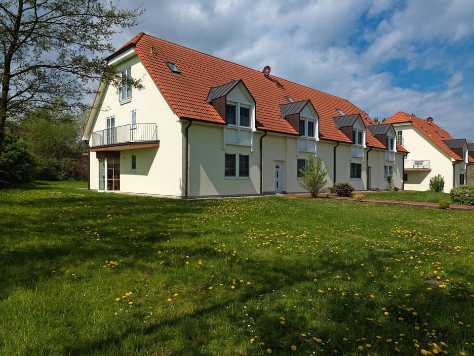 Main view