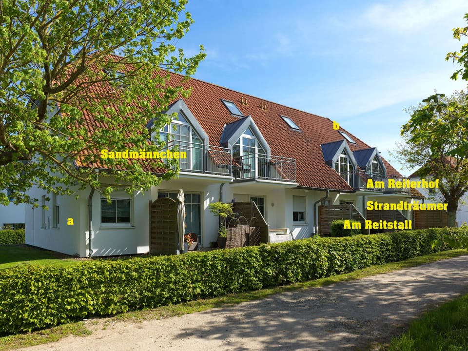 Main view
