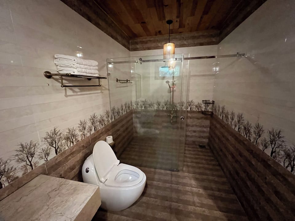 Deluxe Queen Room 2 | Bathroom | Shower, hydromassage showerhead, free toiletries, hair dryer