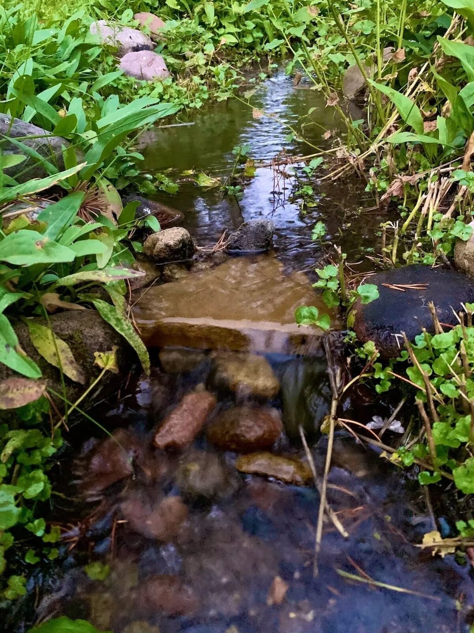 During the wetter months, you can hear hear the sounds of the babbling brook while you're relaxing on the balcony