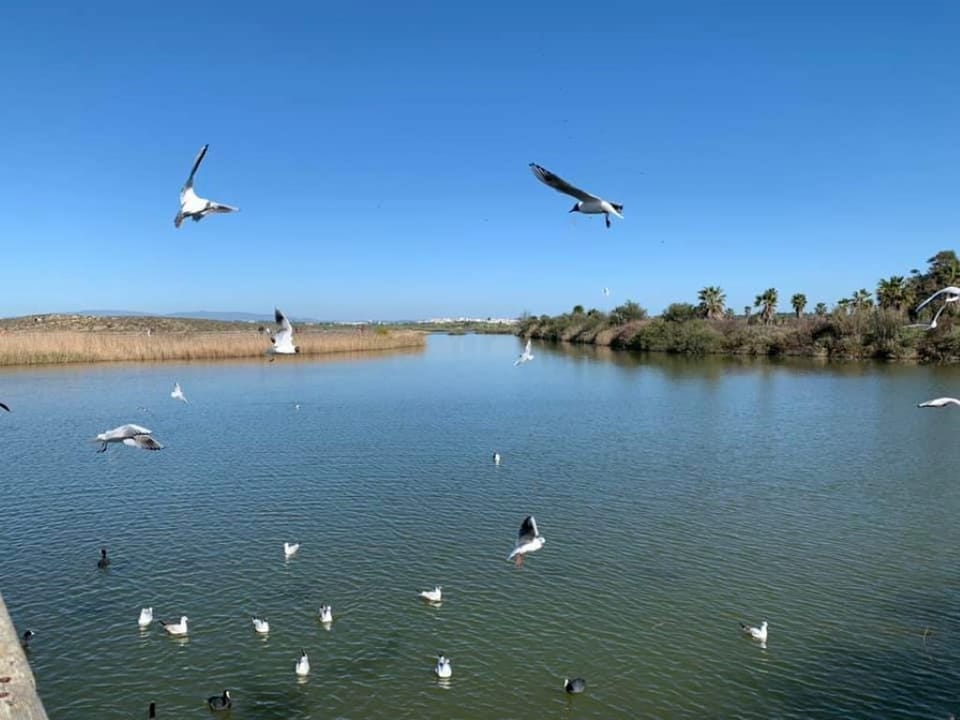 Lake