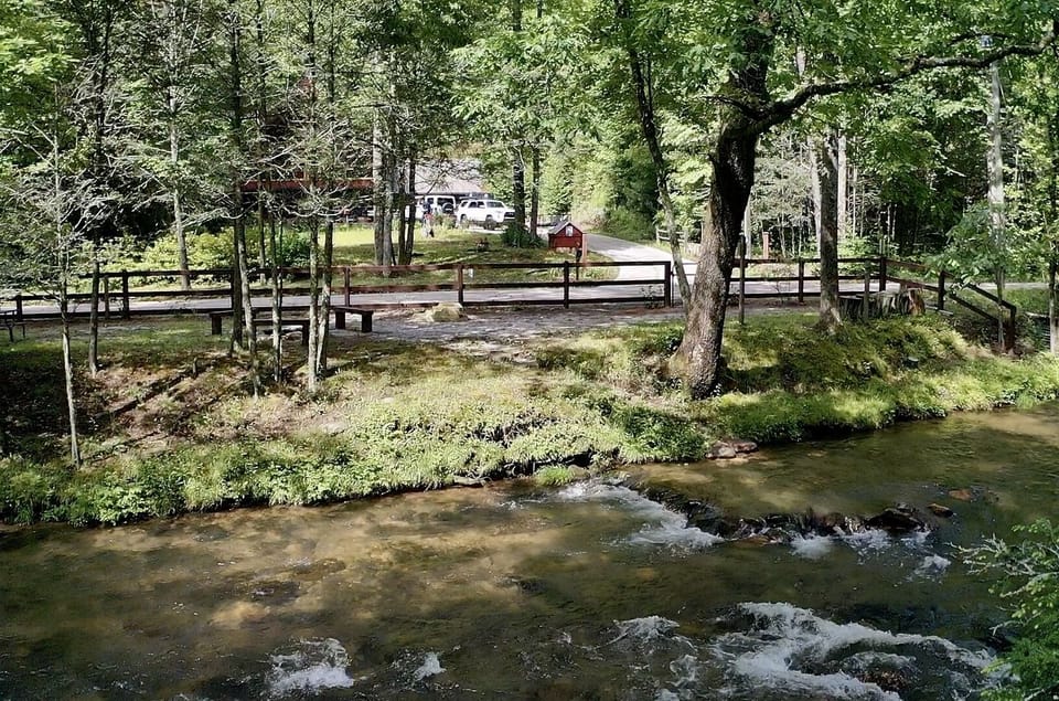 View of river, private park, & cabin