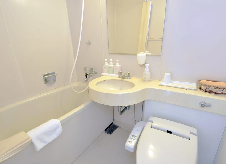 Combined shower/tub, free toiletries, hair dryer, slippers
