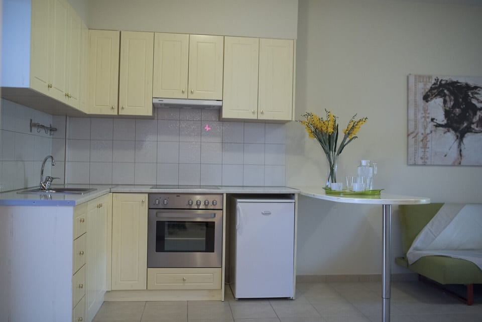 Junior Suite | Private kitchenette | Fridge, electric kettle