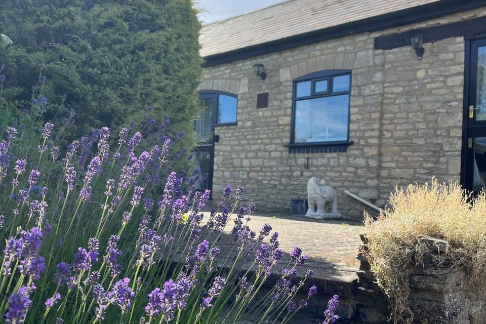 Summer at Stable Cottage