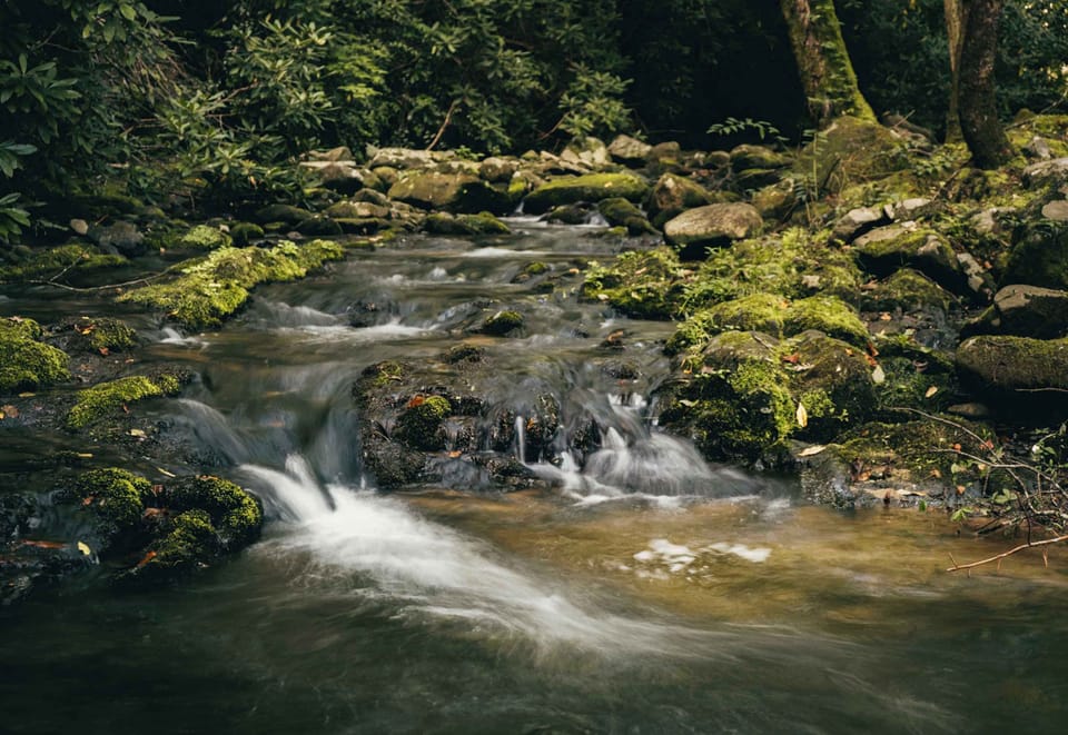 Creekside