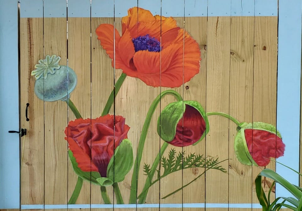 Mural on fence by local artist