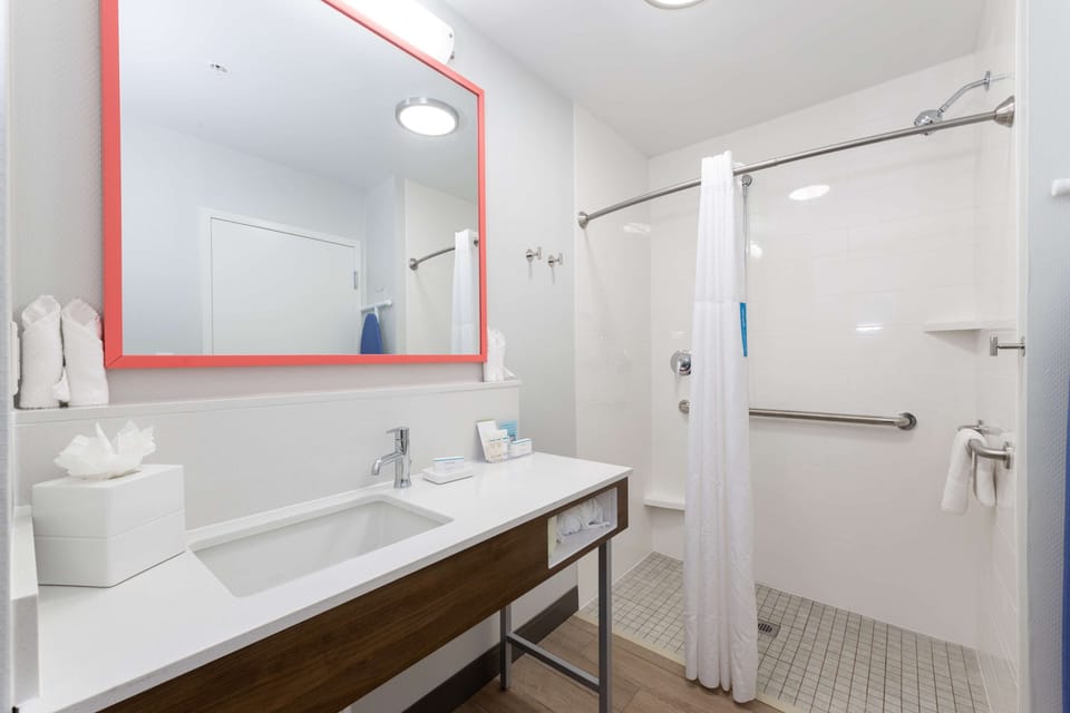 Room, 1 King Bed, Accessible, Non Smoking | Bathroom shower