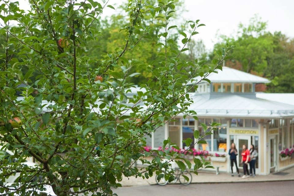 Lisebergsbyn Bed & Breakfast Bed and Breakfast in Gothenburg