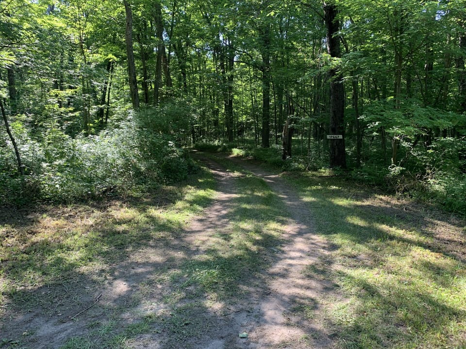 White address placard on tree marks the driveway 