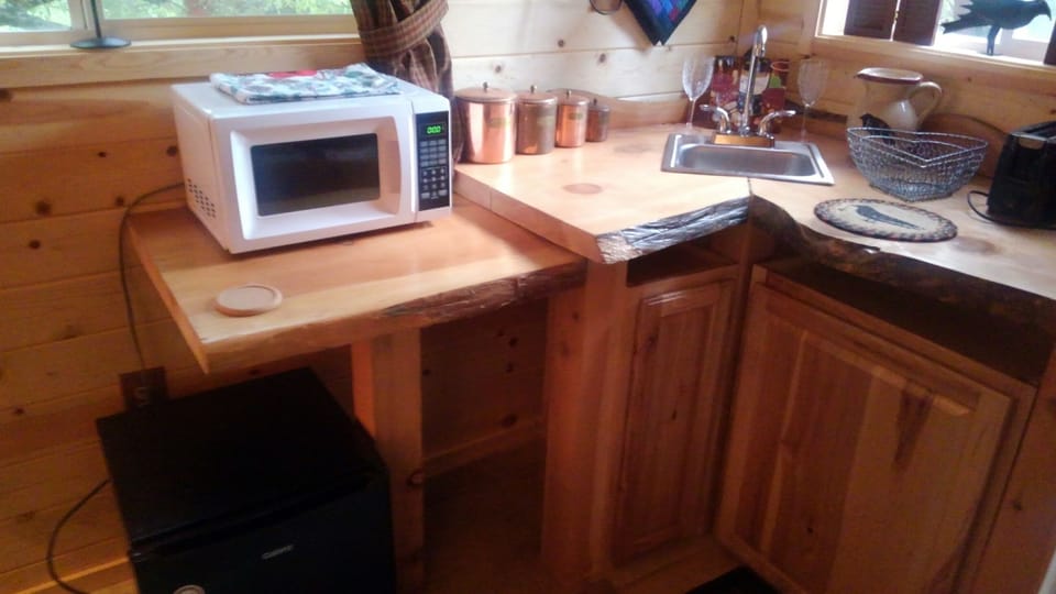 Microwave and sink in Cozy cabin