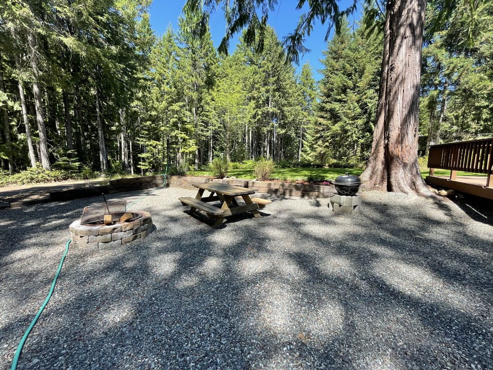 Lower yard and driveway