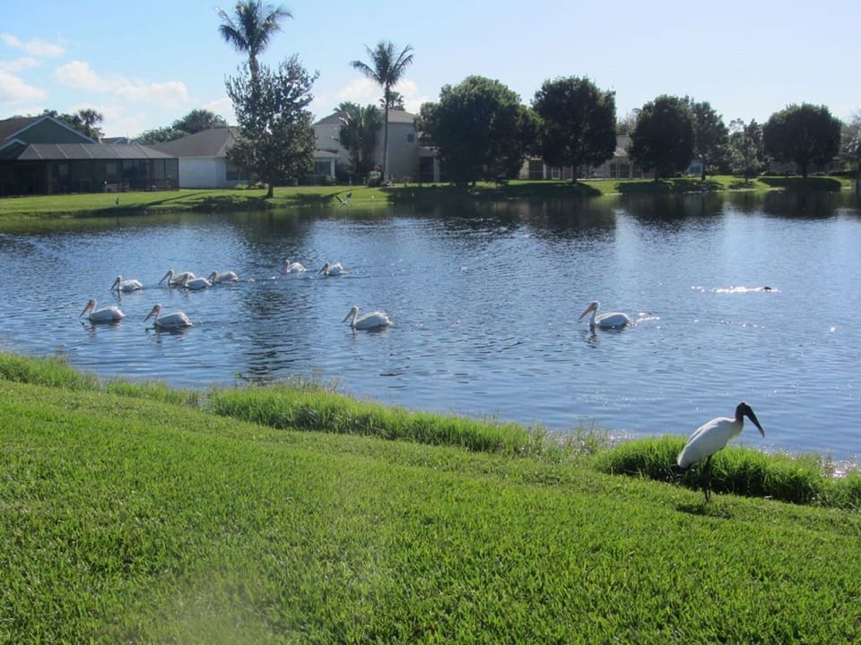 Lake