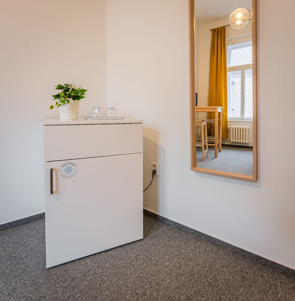 City Double or Twin Room, 1 Bedroom, Refrigerator, City View | Mini-refrigerator