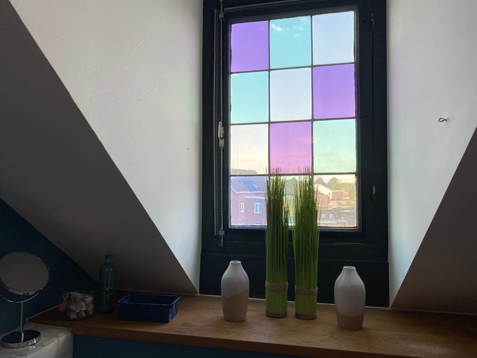 Bathroom window