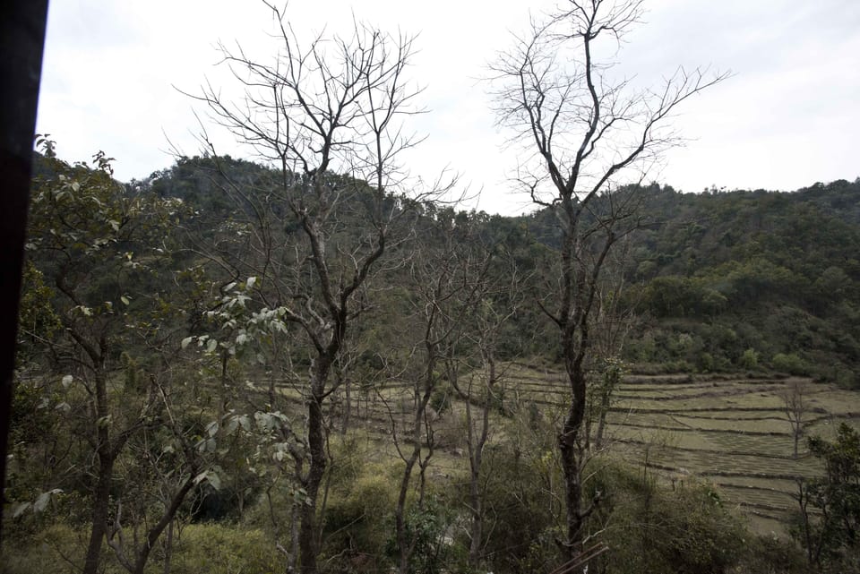 View from property