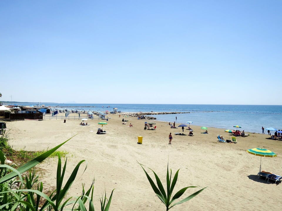 Sky, Water, Plant, Ecoregion, Azure, Beach, Coastal And Oceanic Landforms, Arecales