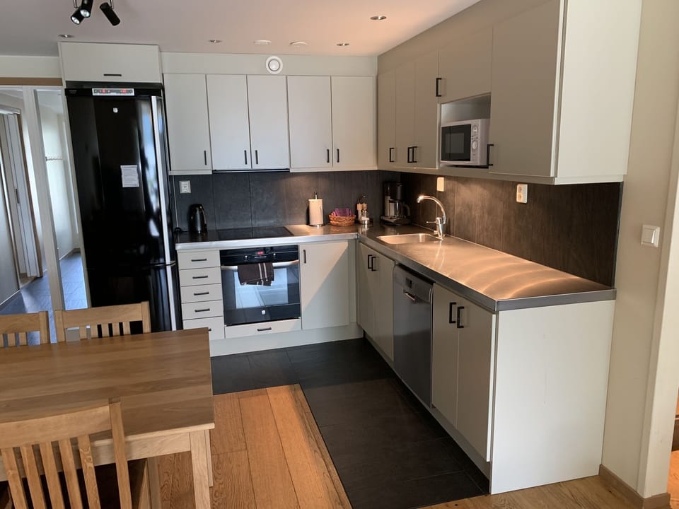 Full-size fridge, oven, stovetop, dishwasher