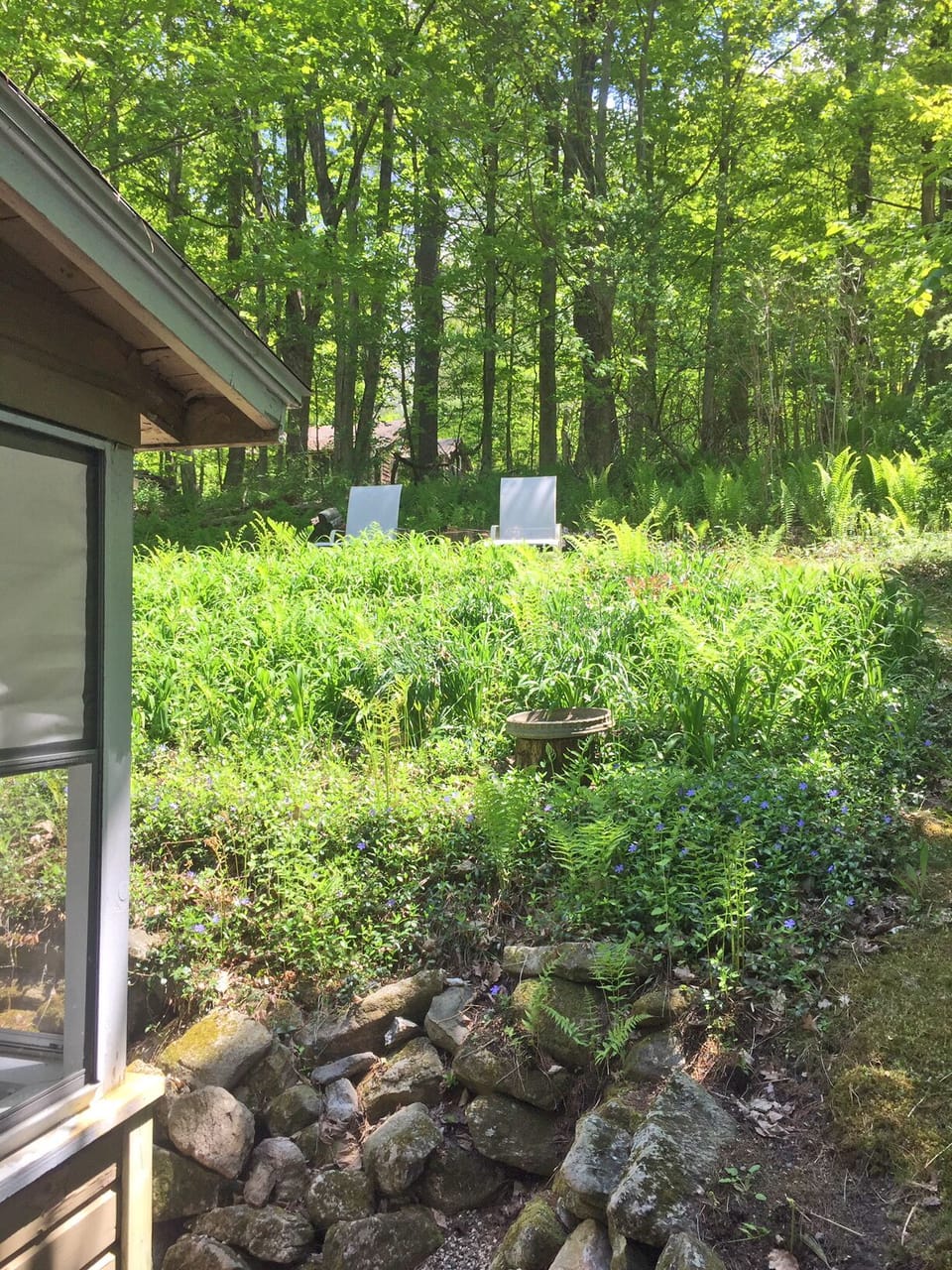 Quiet and privacy surrounded by ferns and wildlife.