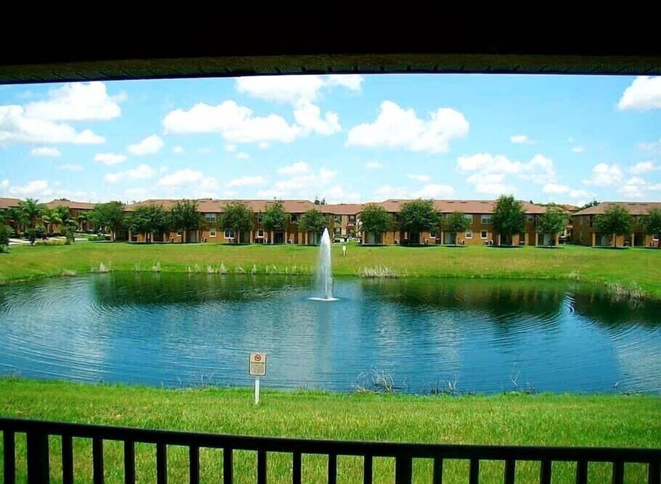 Backyard pond view