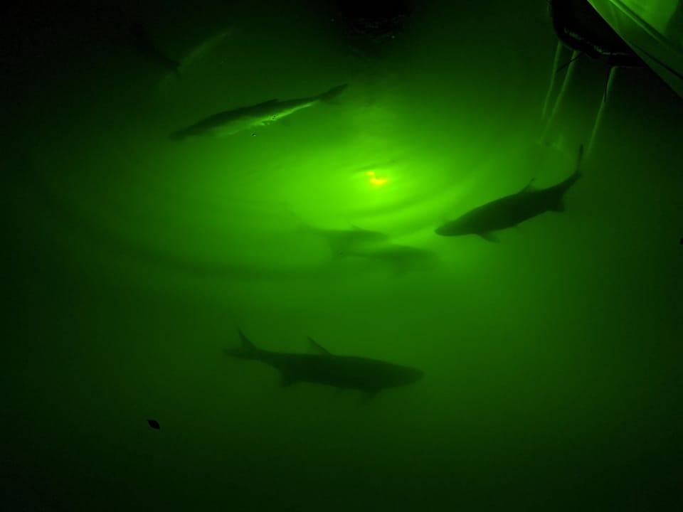 Underwater lights off of your own private dock! 