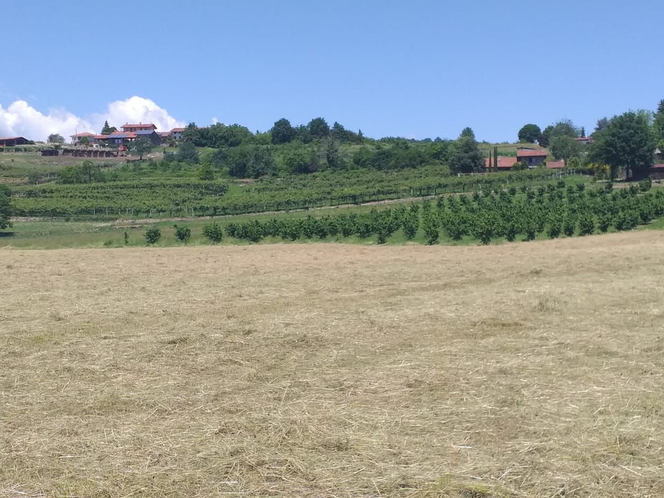 The fountain country house surrounded by nature House in Piedmont