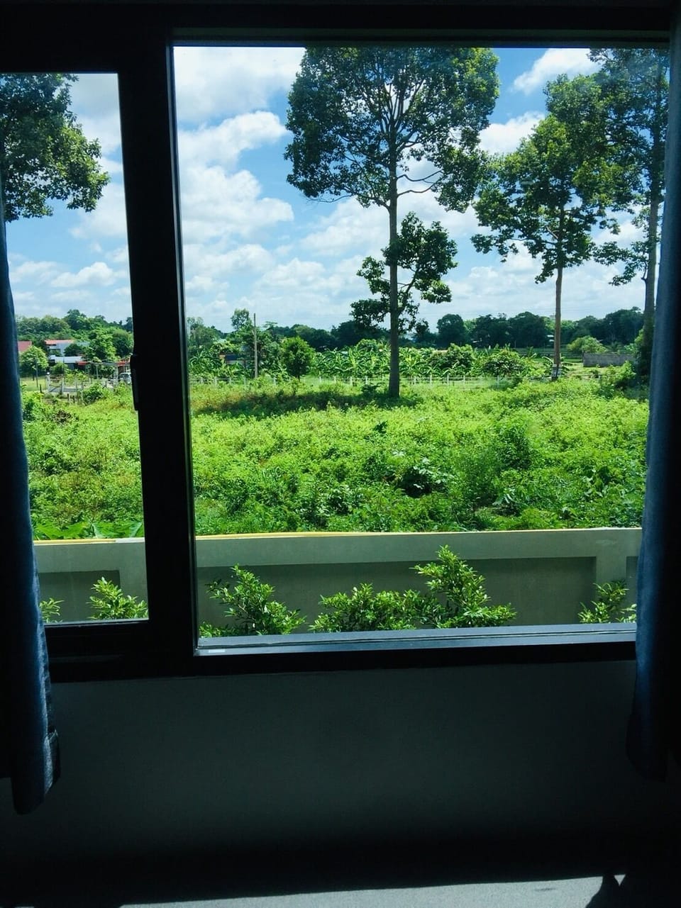 Standard Room | Balcony view