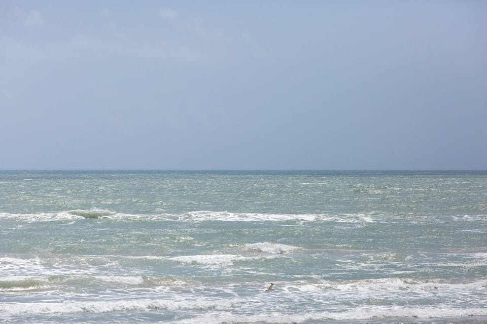 Take in relaxing side views of the beach from your private balcony.