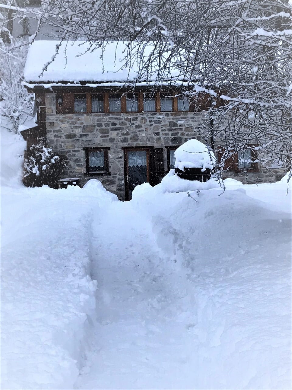 Driveway leading to the stone chalet