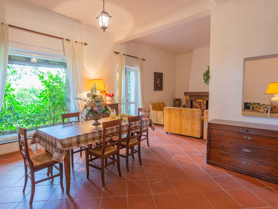 Furniture, Table, Chair, Cabinetry, Wood, Plant, Lighting, Houseplant, Window, Floor