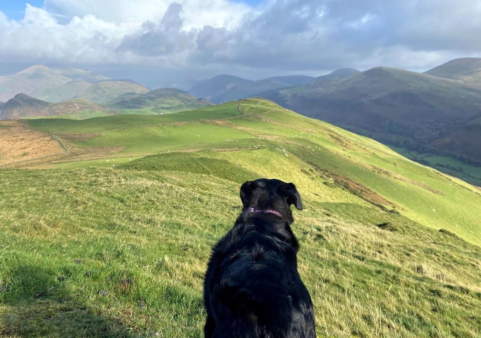 Views from the hillside