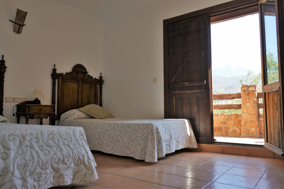 Twin Room | WiFi (free), bed sheets