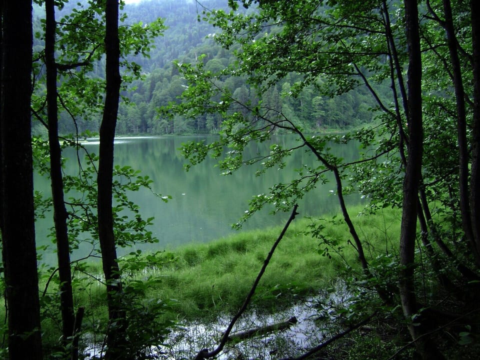 Hiking