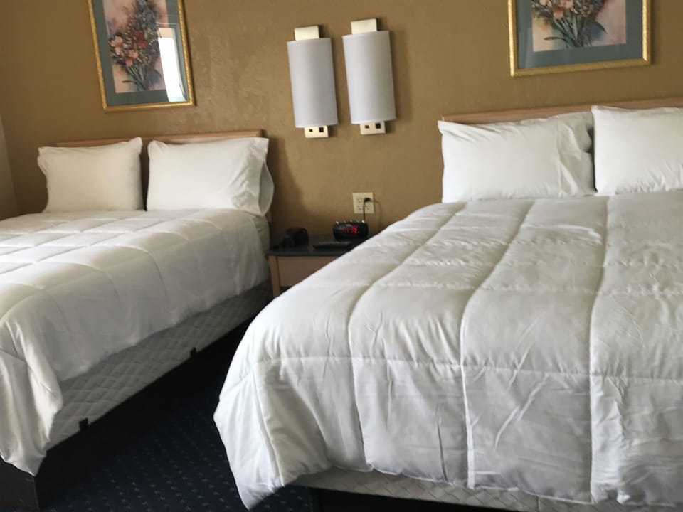 Premium bedding, down comforters, Select Comfort beds, desk