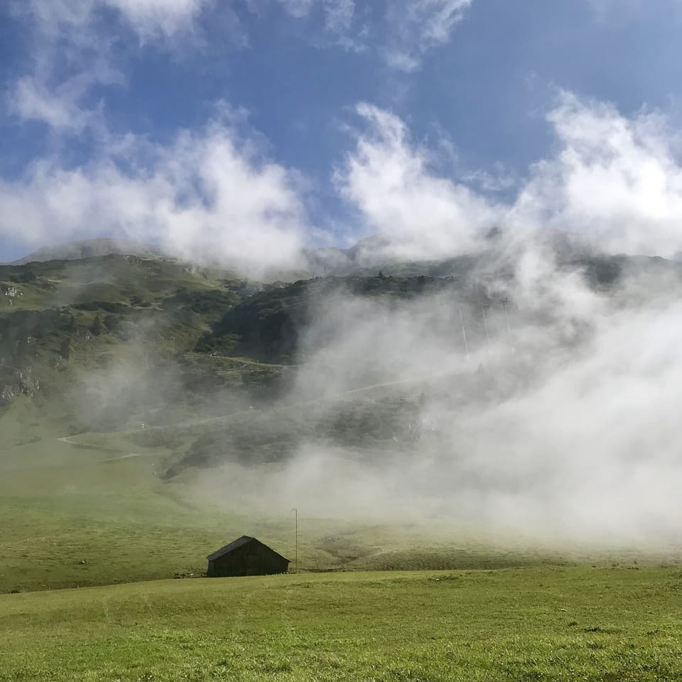 Land view from property
