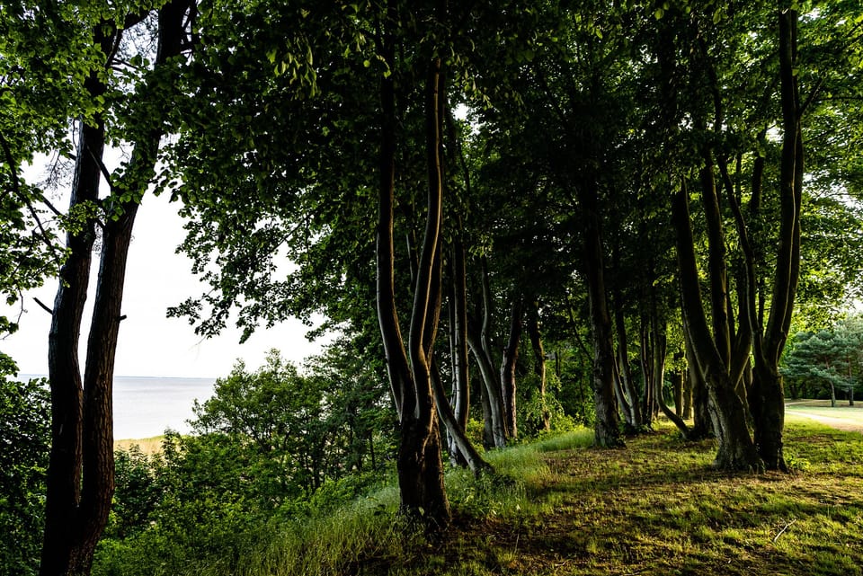 Point of interest