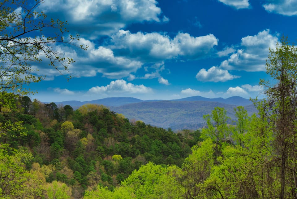 Mustang Haven at Leatherwood Mountains