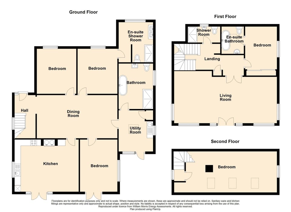 Sand Dollar - Floorplan