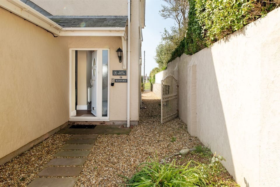 Sand Dollar - External side